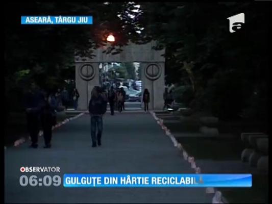 Sute de gulguţe au luminat Parcul Operelor lui Brâncuşi