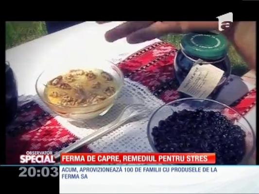 SPECIAL! Ferma de capre, remediul pentru stres