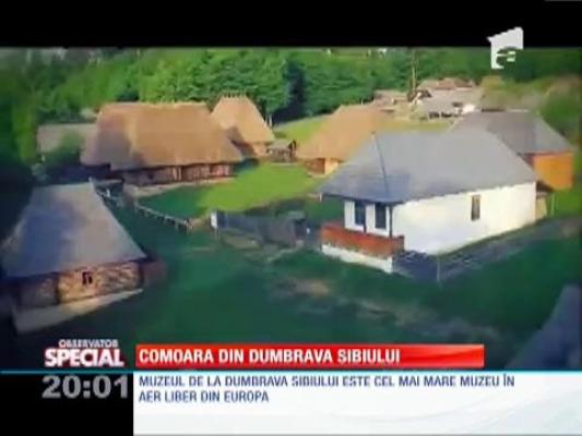 SPECIAL! Comoara din Dumbrava Sibiului