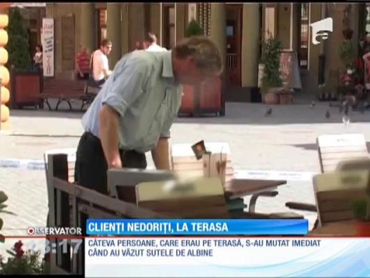 O terasă din Braşov a fost acoperită de un roi de albine
