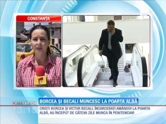 Cristi Borcea şi Victor Becali muncesc la Poarta Albă
