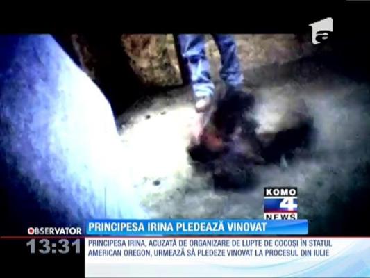 Principesa Irina va pleda vinovat