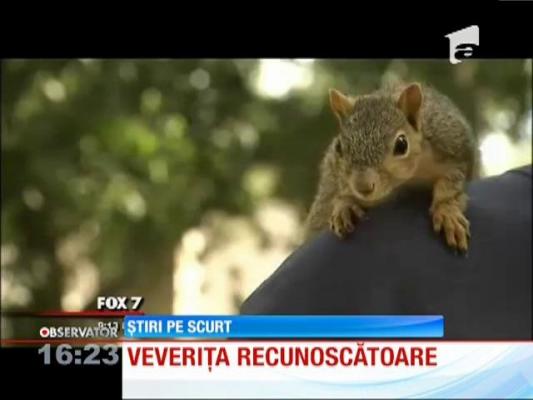 Veverița s-a transformat în CÂINE!