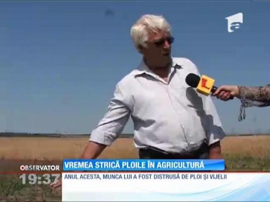 Vreme ciudată în toată România