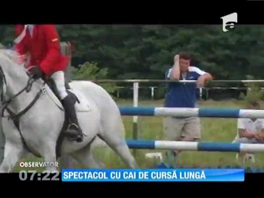 Spectacol ecvestru la "Cupa Bucovinei"