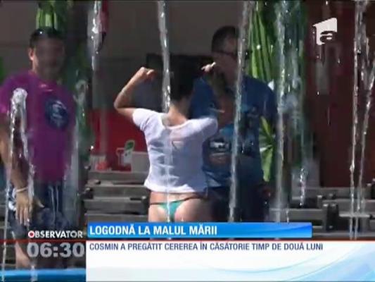 Cerere în căsătorie neobișnuită!