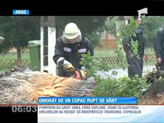 Furtună violentă în Arad! Un bărbat a murit strivit de un copac