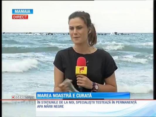 Liber la mare! Specialiștii susțin că apa de pe litoralul nostru e curată