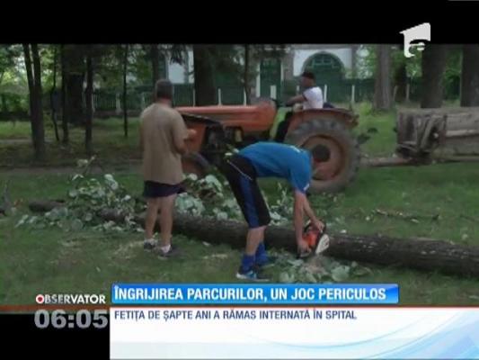 Două fetiţe, rănite de creanga unui copac!