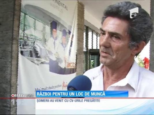 Mehedinţi: S-au călcat în picioare pentru un loc de muncă