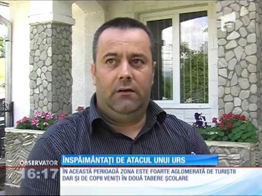 Ursul a băgat spaima în oameni!