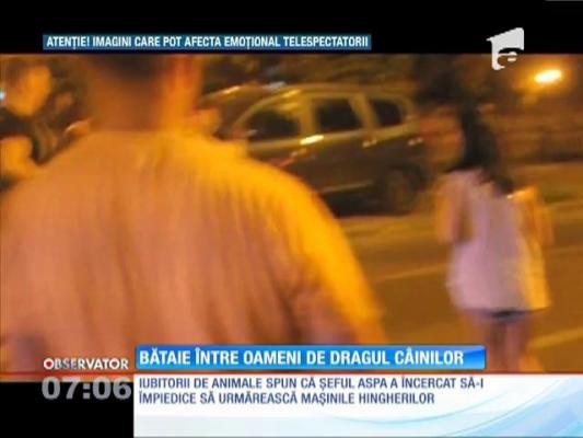 Bătaie între oameni de dragul... câinilor!