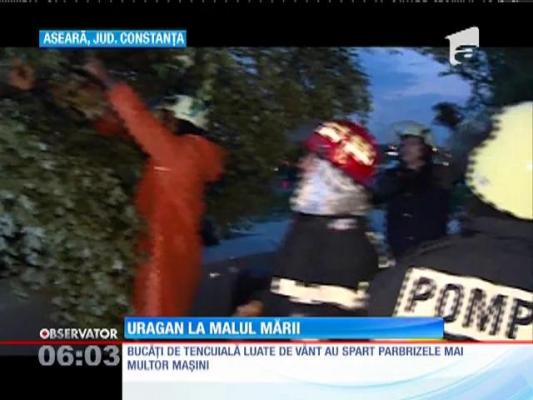 Prăpăd la malul mării!