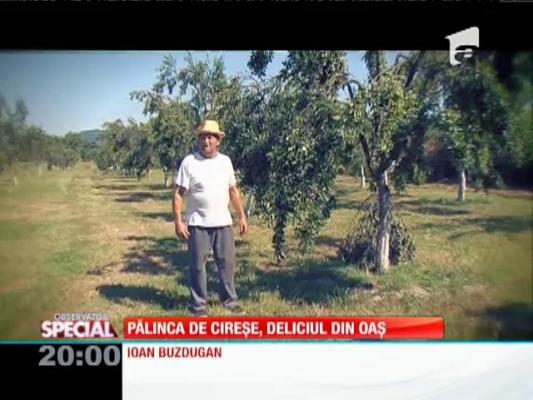 Special! Pălinca de cireșe, deliciul din Oaș
