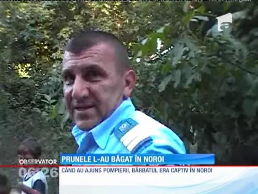 Un bărbat a căzut de pe un pod, după ce s-a întins să ia nişte prune