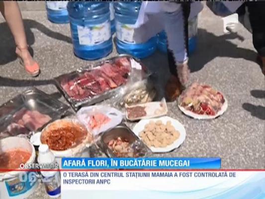 Afară-i vopsit gardul...