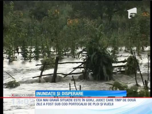 Update / Ploile torenţiale, coşmar pentru jumătate din ţară