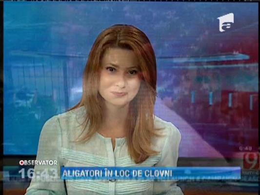 Aligatori în loc de clovni