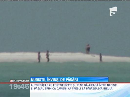 Nudiștii, învinși de păsări