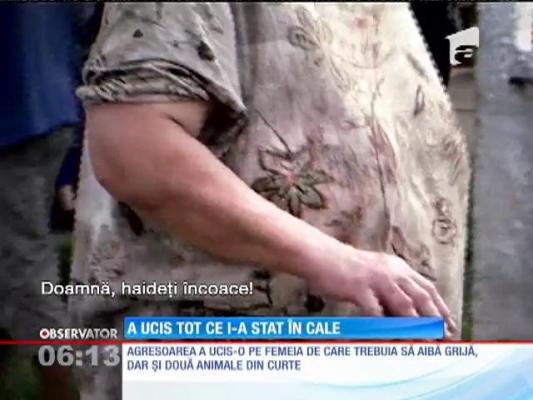 A omorât un miel, şi-a ucis fosta soacră şi a decapitat un câine
