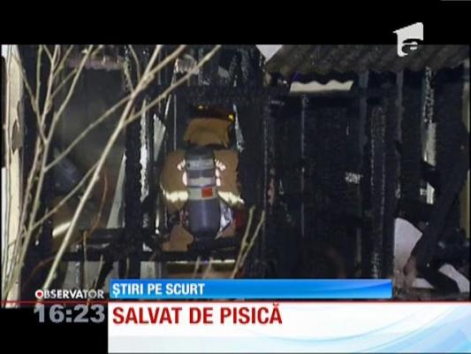 INCREDIBIL! Bărbat salvat de pisică!
