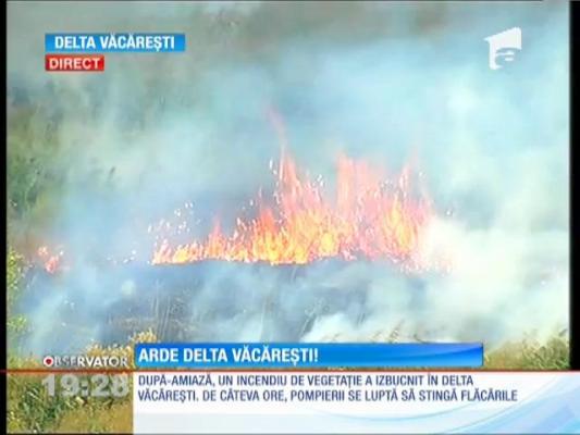 Un incendiu puternic a cuprins o zonă din Delta Văcăreşti!