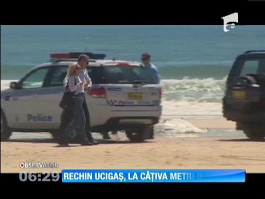 Bărbat mâncat de rechin sub ochii soţiei