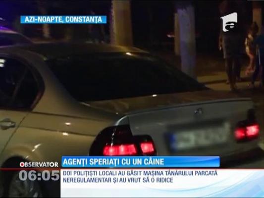 Polițiști locali speriați cu un câine