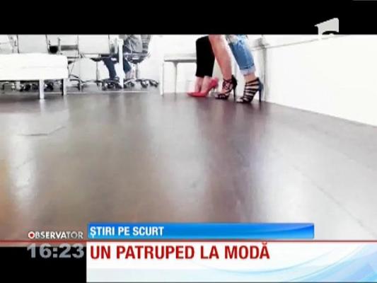 Reporter patruped la o publicaţie de modă britanică