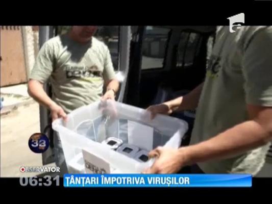 Ţânţari împotriva virușilor