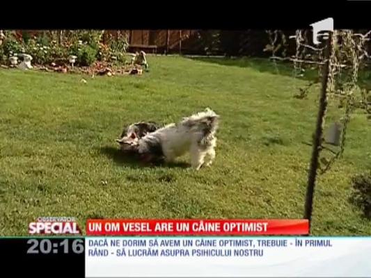 Special! Un om vesel are un câine optimist