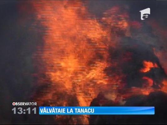 În comuna vasluiană Tanacu au ars 50 de tone de fân