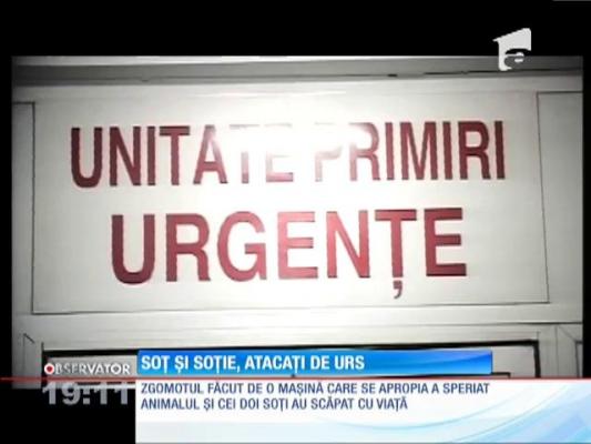 Doi bătrâni, soţ şi soţie, au fost atacaţi de urs, în drum spre casă!
