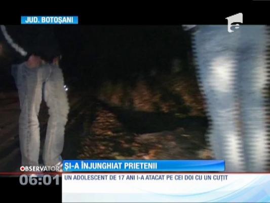 Un adolescent de 17 ani și-a înjunghiat prietenii