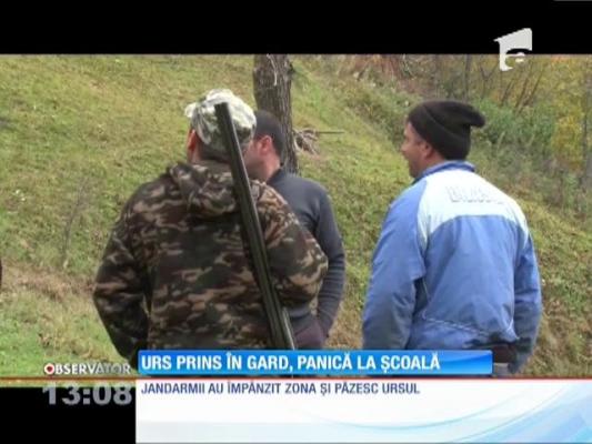 Urs prins în gard, panică în şcoală