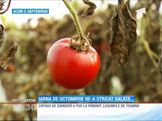 Iarna de octombrie ne-a lăsat fără legume