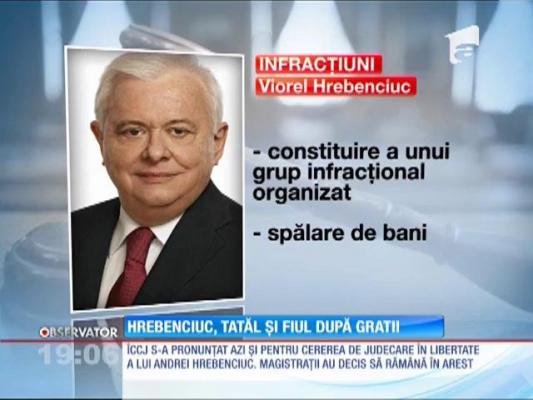 Update / Viorel Hrebenciuc, în arest pentru 30 de zile