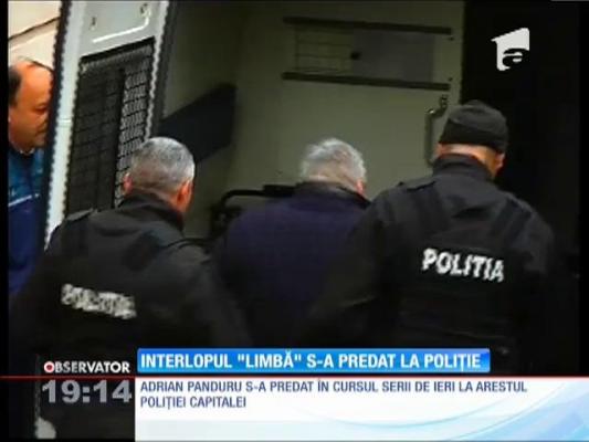 Interlopul Limbă s-a predat la Poliţie