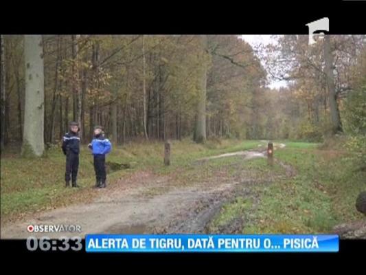 Tigrul care le-a dat fiori parizienilor, rodul unei imaginaţii bogate