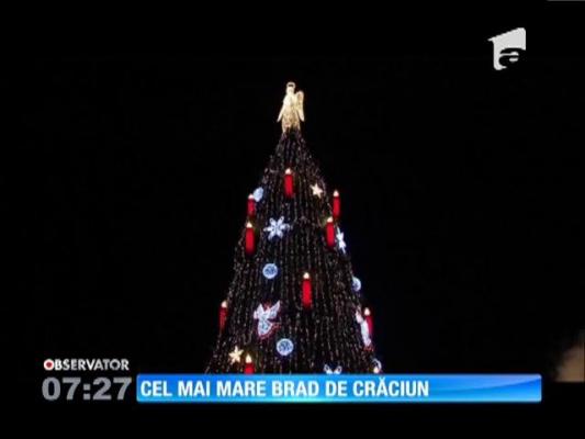 Cel mai înalt brad de Crăciun