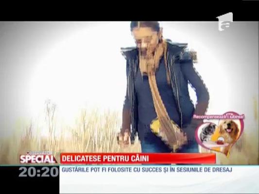 Delicatese pentru câini