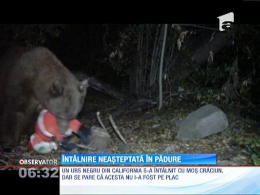 Moș Crăciun, pus la pământ de Moș Martin!