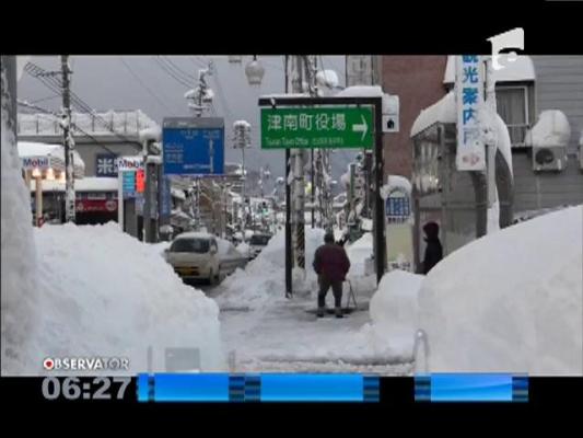 Ninsoarea face victime în Japonia