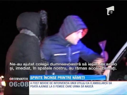 Spirite încinse printre nămeți