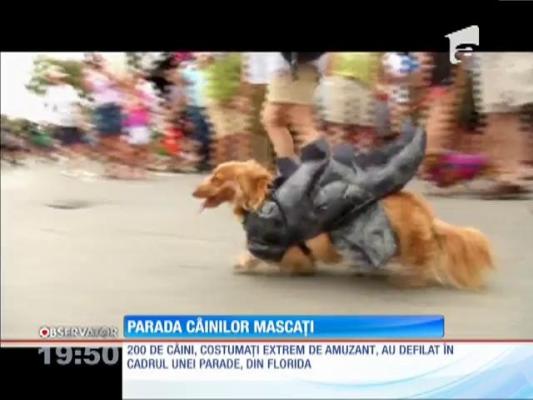 Parada câinilor mascaţi de la New York