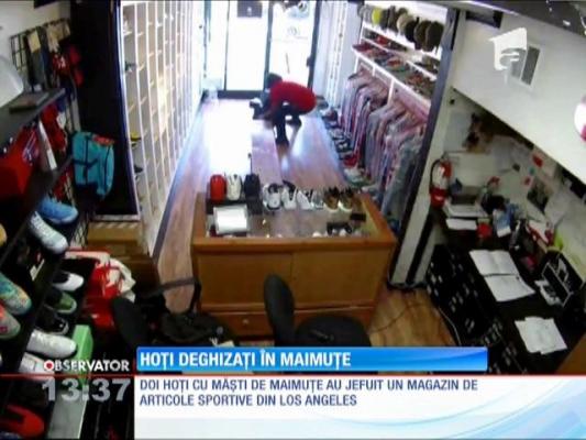 Hoți deghizați în maimuțe