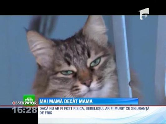 Bebeluş salvat de la moarte de o pisică