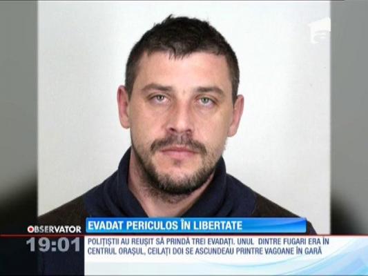 Evadat periculos în libertate