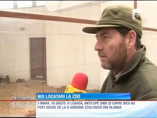 Vedete noi la grădina Zoologică din Târgu Mureş