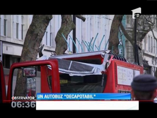 Un autobuz a fost decopertat de crengile unui copac